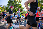 image-2356