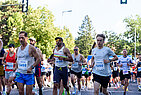 image-3409