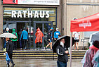 image-1142