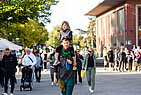 image-3299