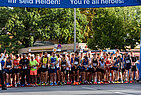 image-1350