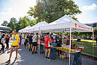 image-2516