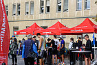 image-1294