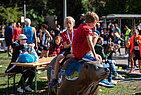 image-1036