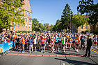 image-2366