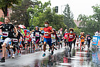 image-1110