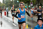 image-1144