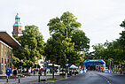 image-1289
