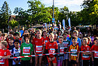 image-3304