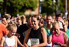 image-1387