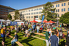 image-2332