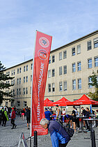 image-1293