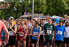 image-1335