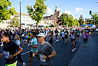 image-3421