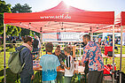image-2337