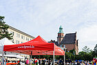 image-1291