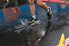 image-1154