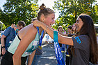 image-2424