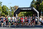 image-3474