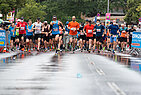 image-1178
