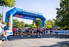 image-2351